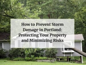 Storm Damage