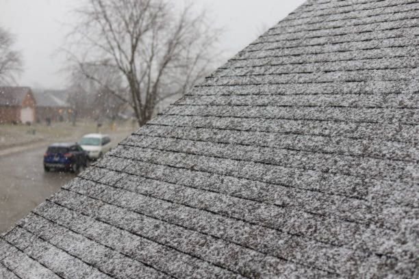 Winter Damage