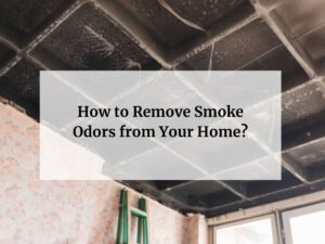 smoke feature