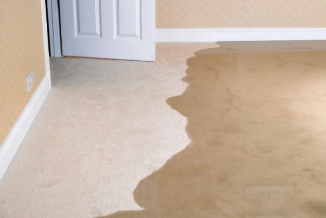 Water Damage and Preventive Measures